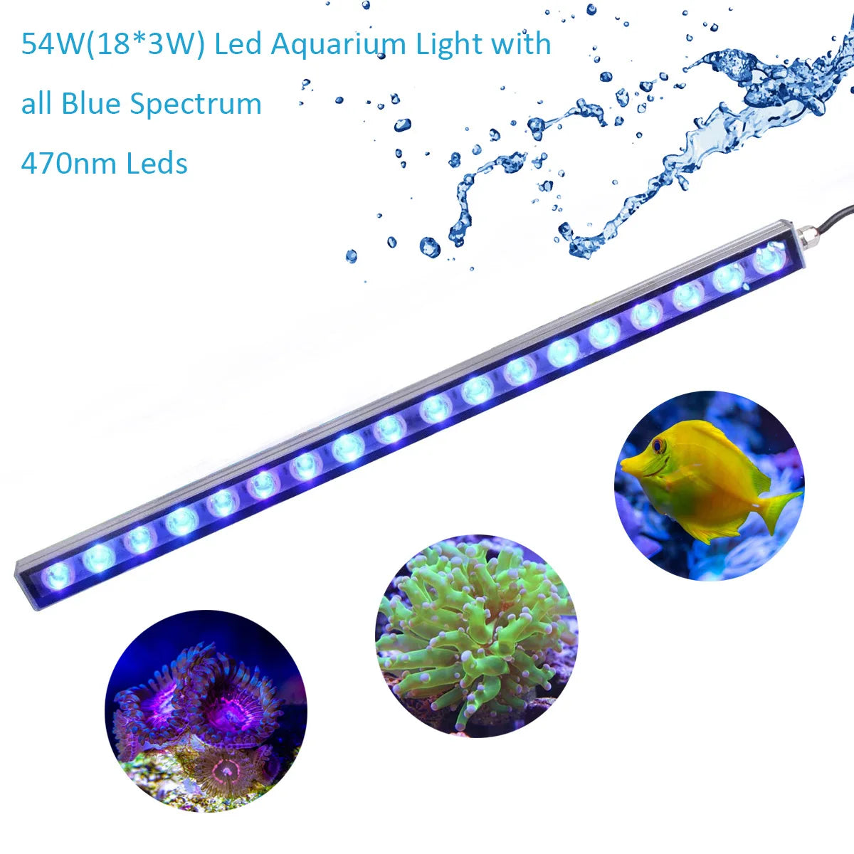 Populargrow Blue Spectrum Led Aquarium Light For Coral Reef Tank
