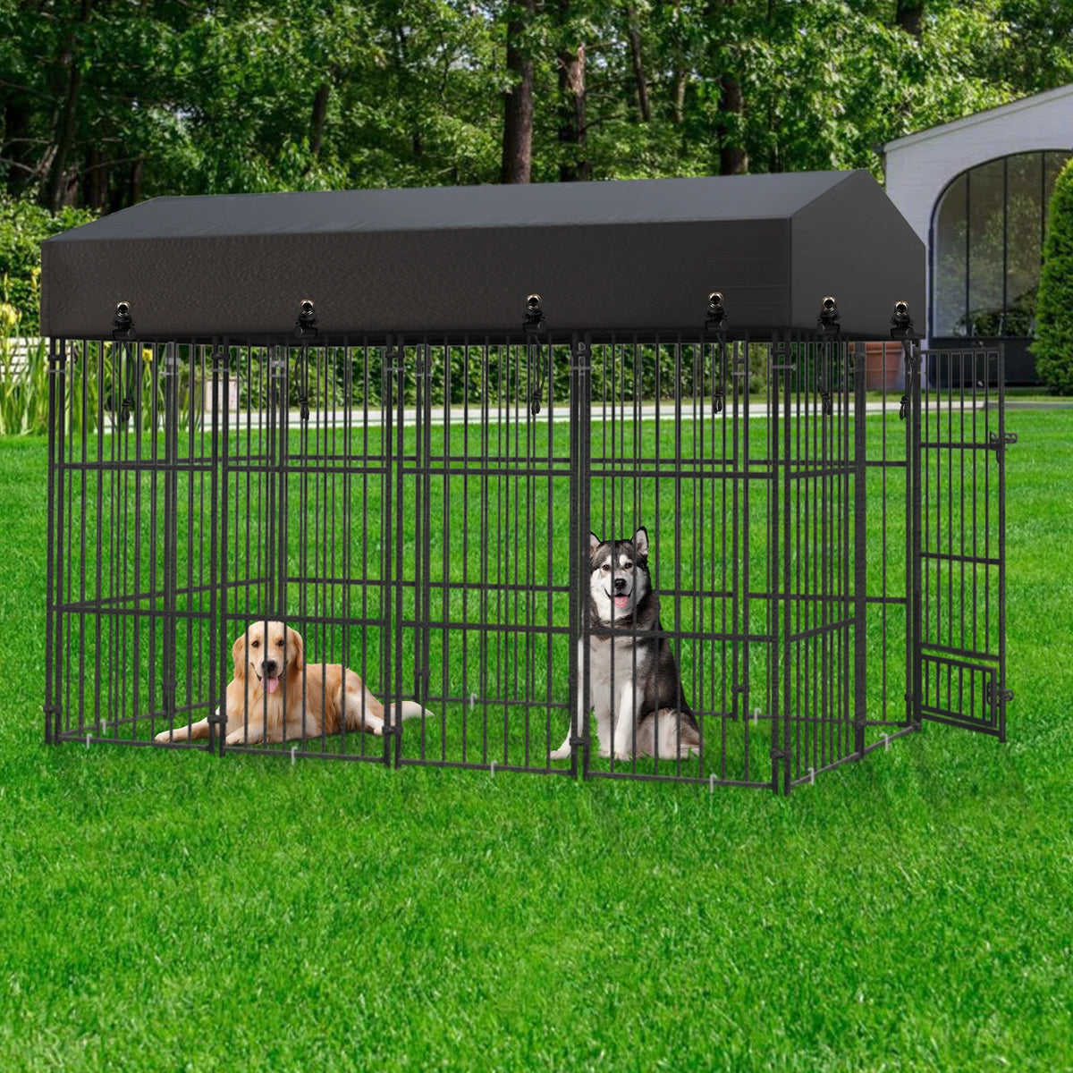 Heavy Duty Metal Outdoor Dog Kennel With Secure Roof