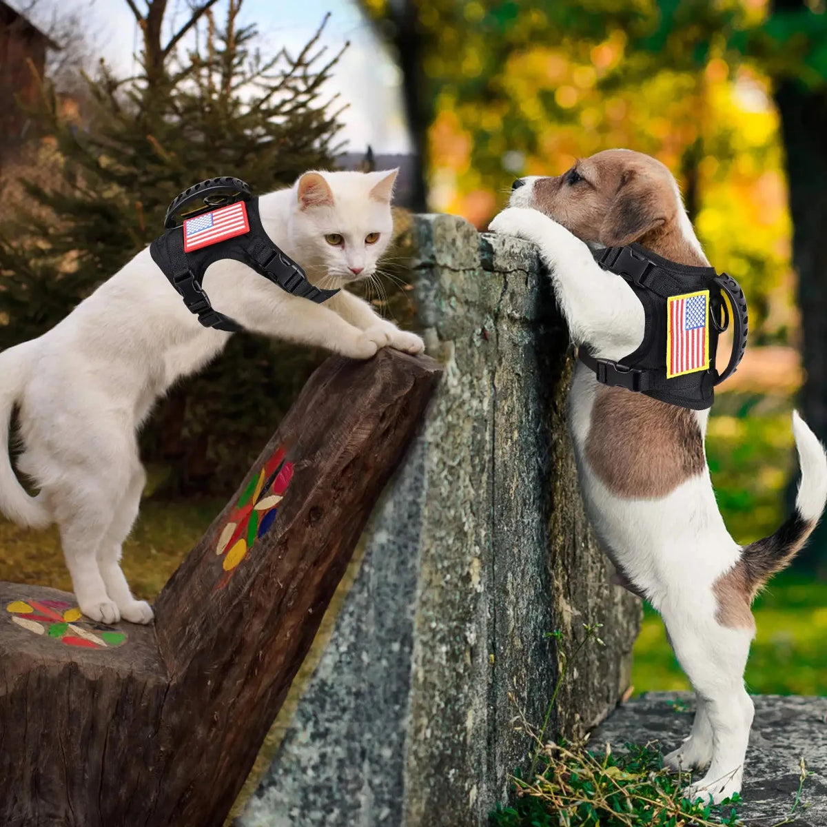 PETRAVEL Adjustable Nylon Tactical Dog Harness Leash Set