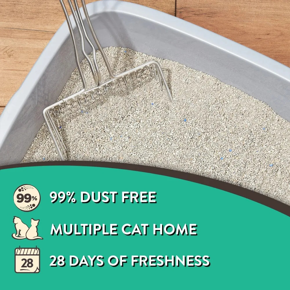 Special Kitty Fresh Scent Clumping Clay Cat Litter Odor Shield