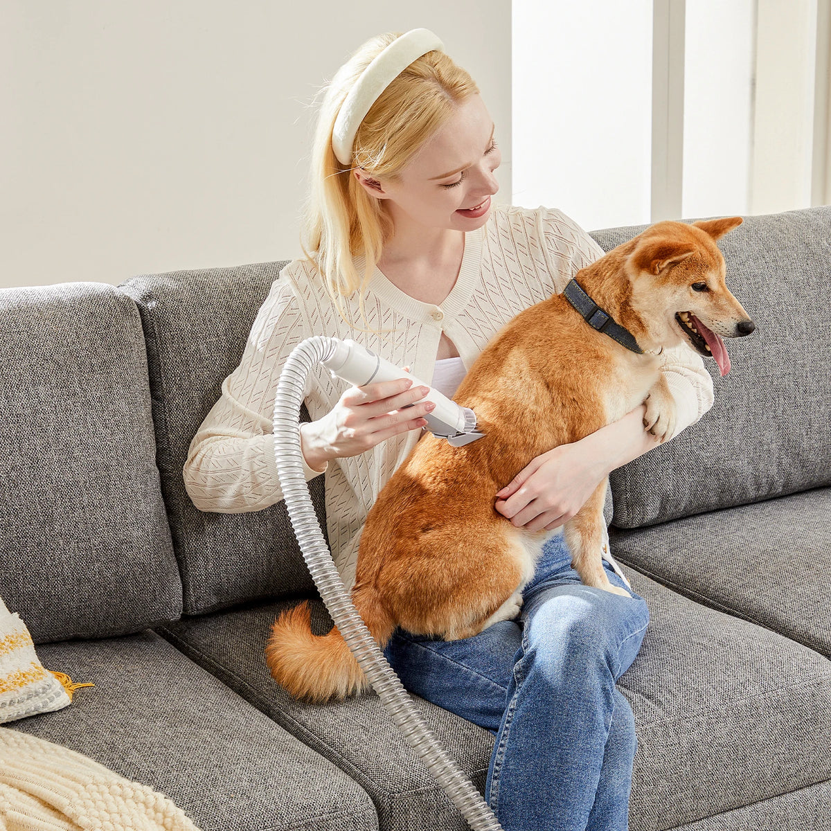 Professional Pet Grooming Vacuum Kit With Low Noise Dog Clippers