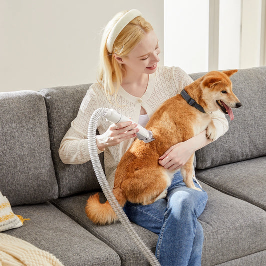Professional Pet Grooming Vacuum Kit With Low Noise Dog Clippers