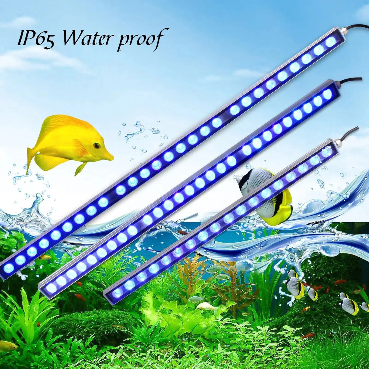 Populargrow Blue Spectrum Led Aquarium Light For Coral Reef Tank