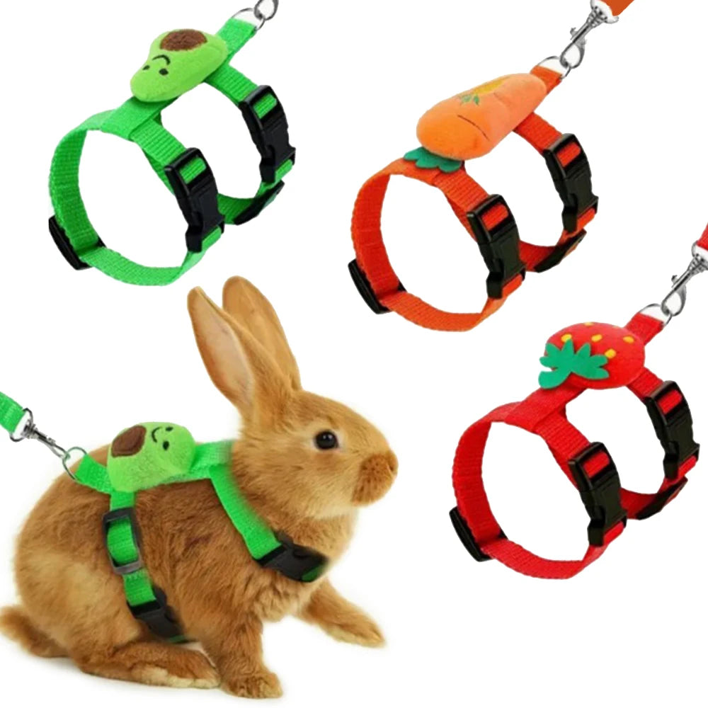 Adjustable Nylon Harness And Leash Set For Small Animals
