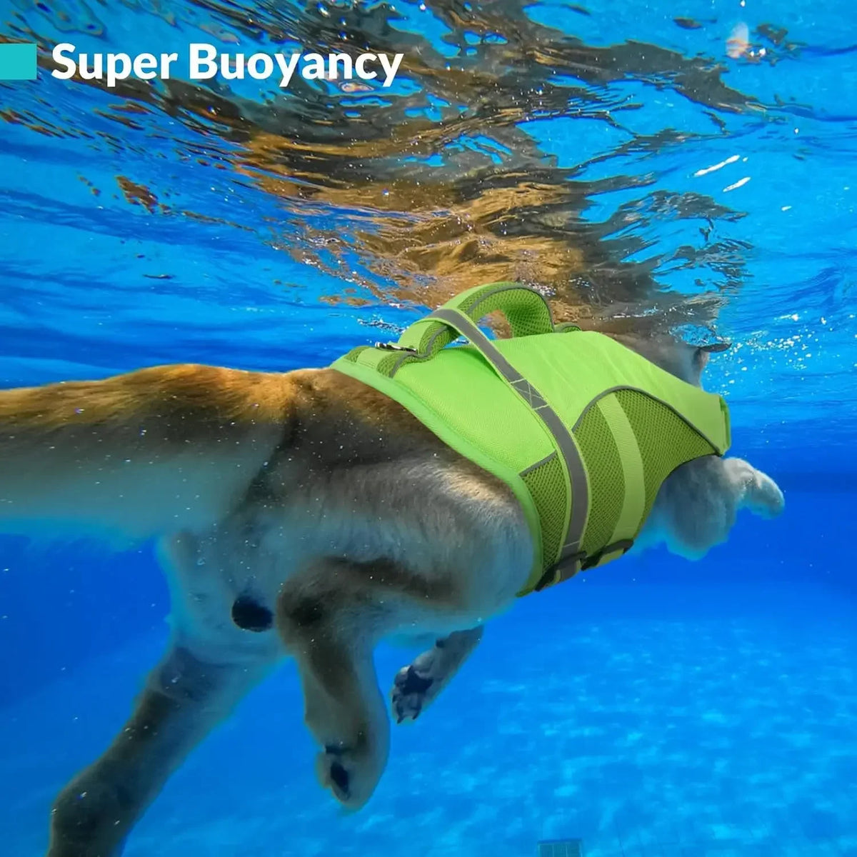 Durable Dog Life Jacket With Safety Handle And Reflective Vest