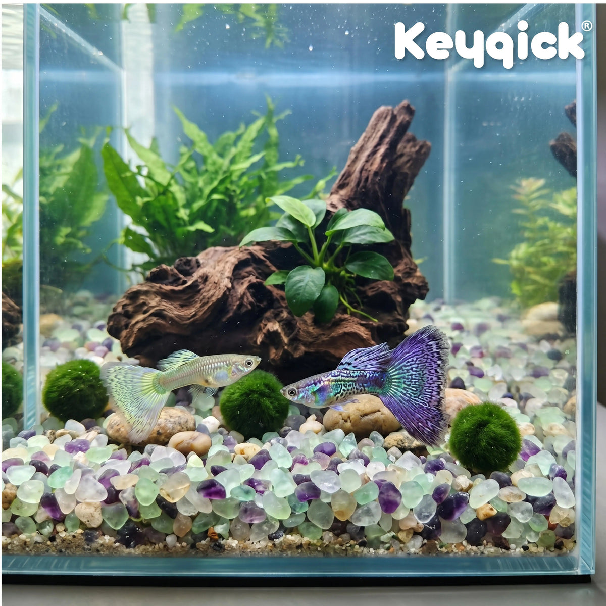Natural Fluorite Fragments Decorative Pebbles For Aquarium And Succulents