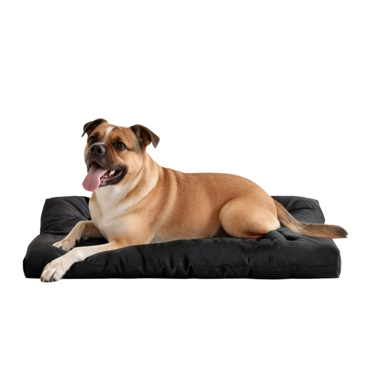 Indestructible Chew Proof Dog Bed With Waterproof Washable Mat